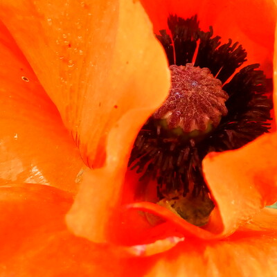 avatar for j12i@weirder.earth