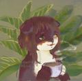 avatar for wakocima