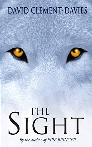 The Sight (Paperback, Pan MacMillan, Brand: Macmillan Children's Books)