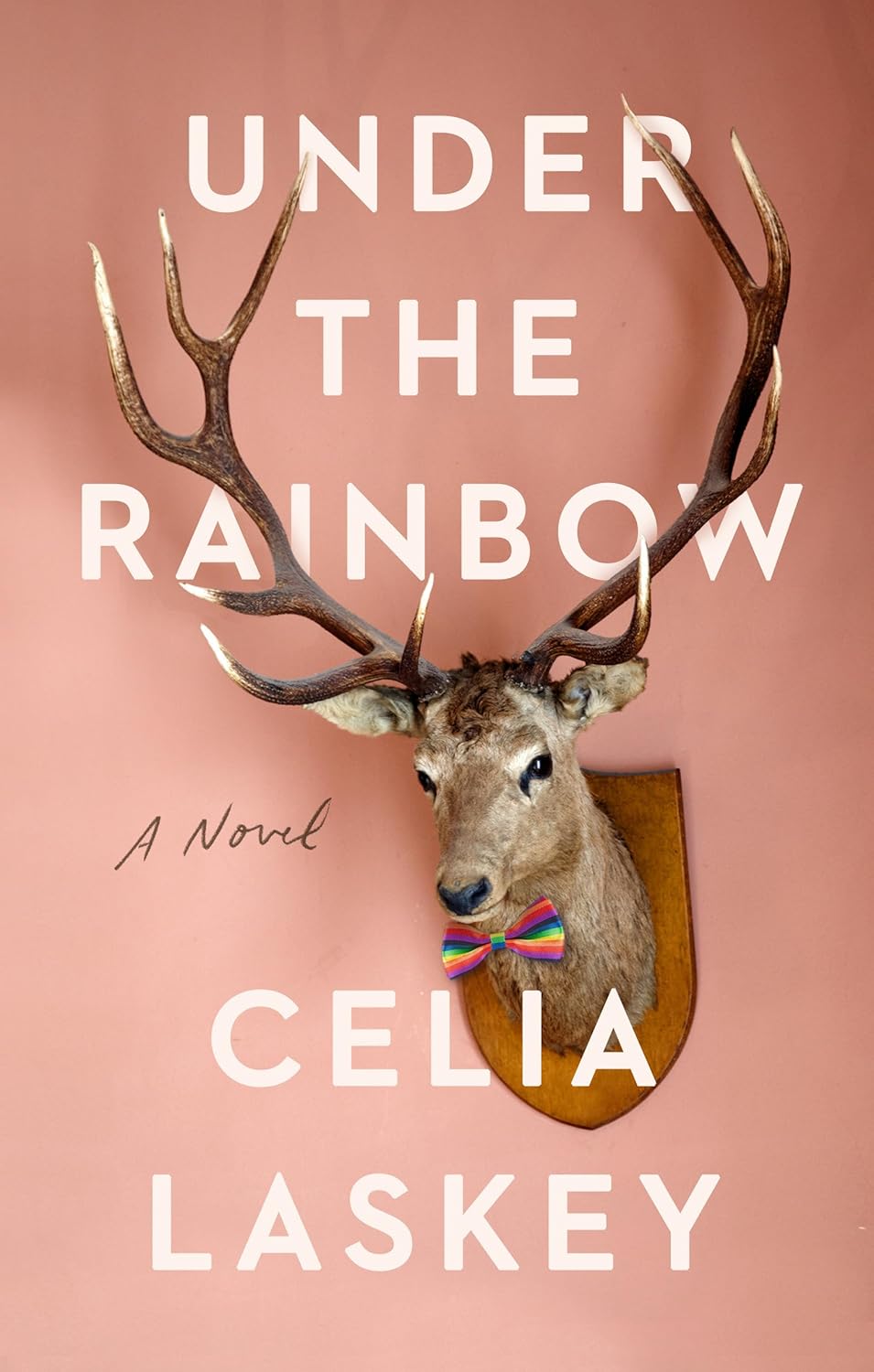 Celia Laskey: Under the Rainbow (2020, Penguin Publishing Group)