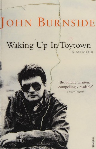 Waking up in Toytown (2011, Penguin Random House)