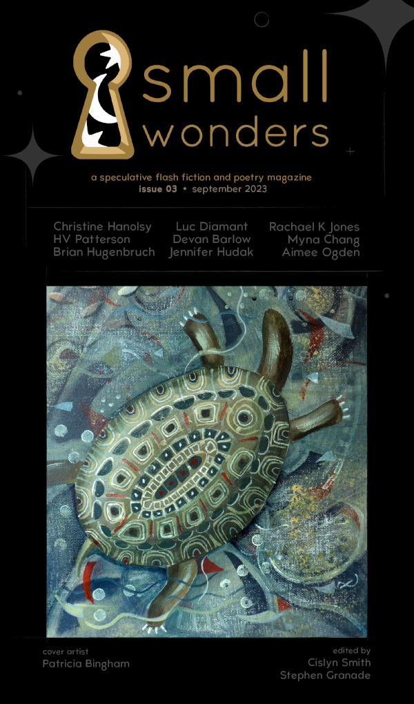 Small Wonders Issue 3 (Small Wonders LLC)