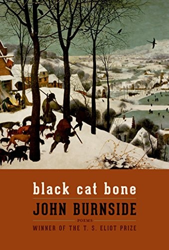 Black Cat Bone (Paperback, Graywolf Press)