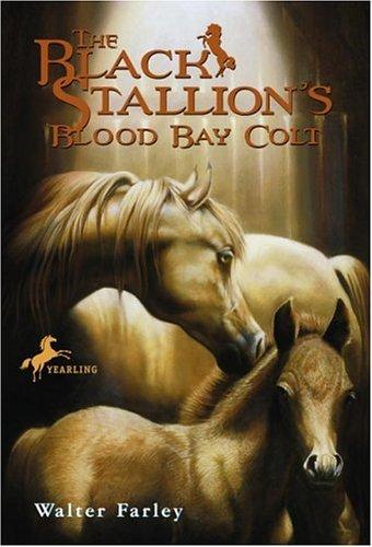 The black stallion's blood bay colt (Paperback, 1994, Bullseye Books, Random House)