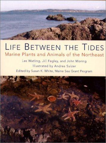 Les Watling, Jill Fegley, John Moring: Life Between the Tides (Paperback, Tilbury House Publishers)