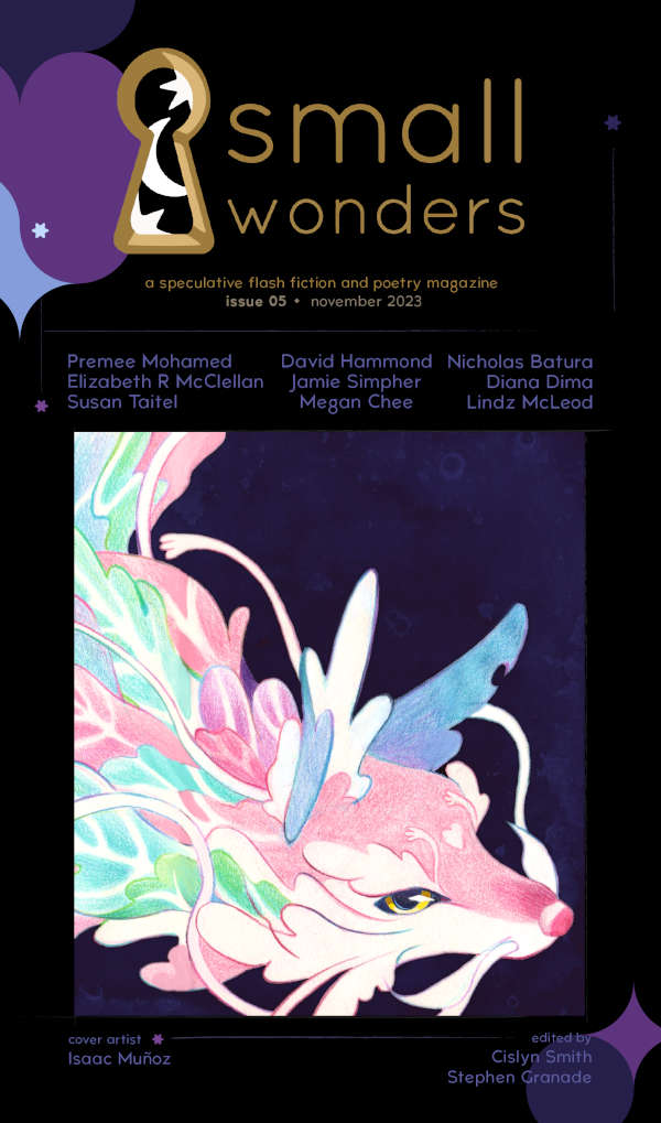 Small Wonders Issue 5 (Small Wonders LLC)