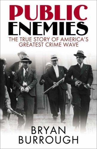 Public Enemies (Hardcover, 2004, Allen Lane)