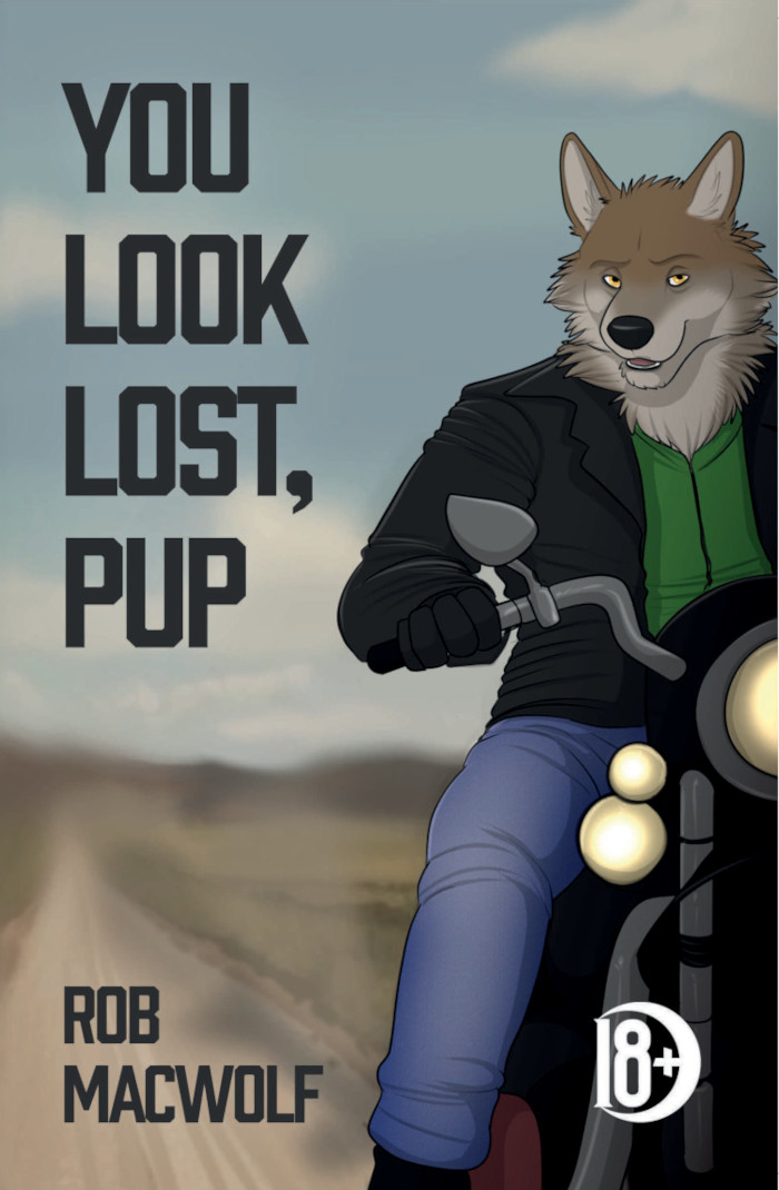 Rob MacWolf: You Look Lost, Pup (Paperback, 2024, Bewere Books)