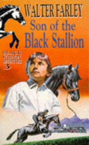Son of the Black Stallion (Paperback, 1992, Hodder Children's Books, Knight Books)