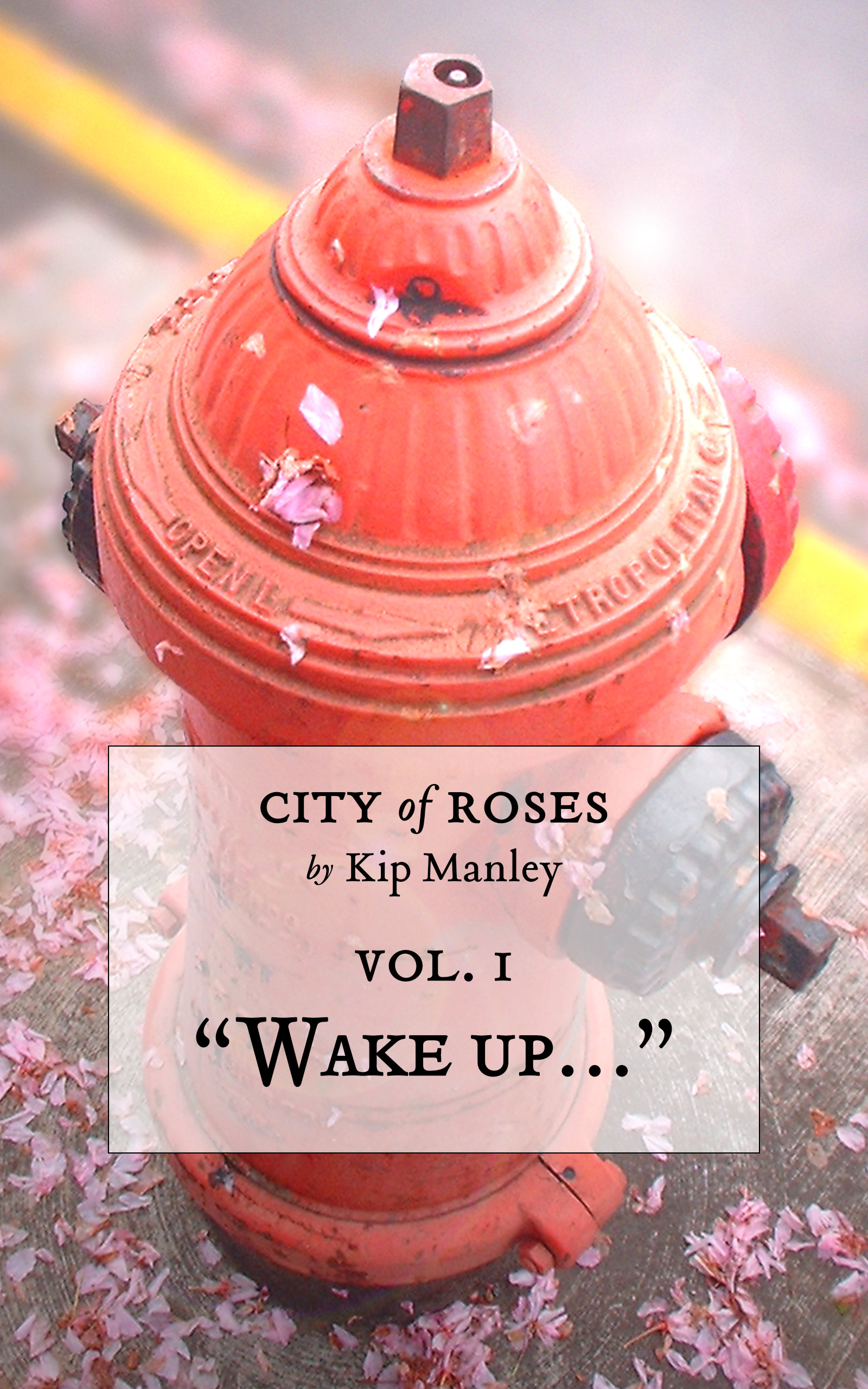 Kip Manley: “Wake up…” (Paperback, 2011, Supersticery Press)