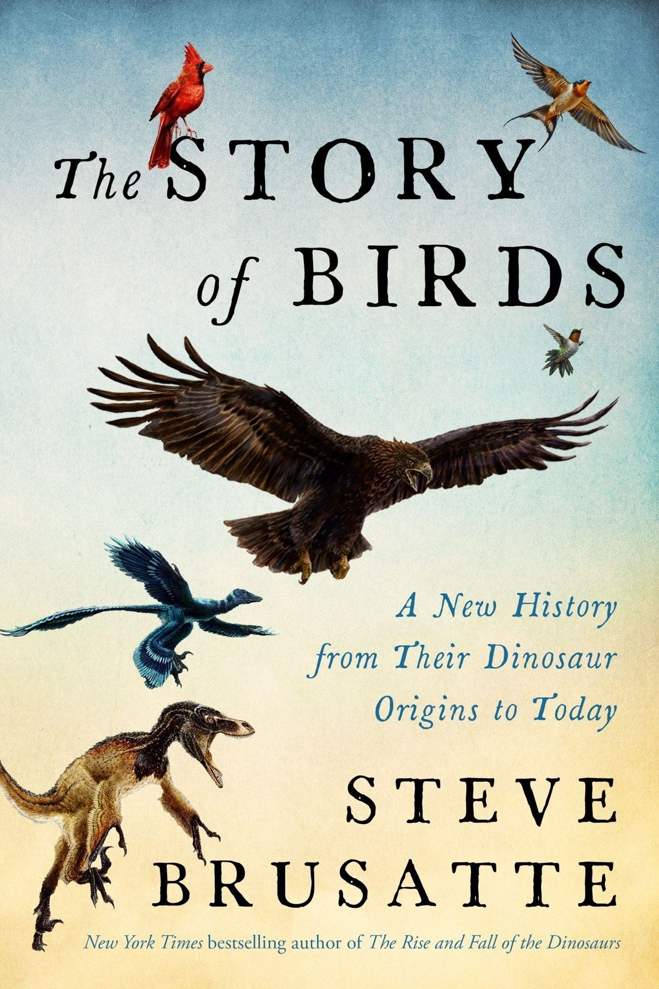 Steve Brusatte: The Story of Birds (Hardcover, Harper Collins)