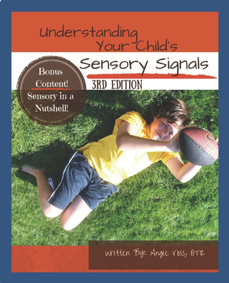 Angie Voss: Understanding Your Child's Sensory Signals (2011)