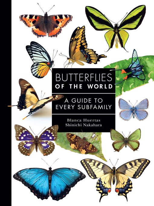 Blanca Huertas, Shinichi Nakahara: Butterflies of the World (2025, Princeton University Press)