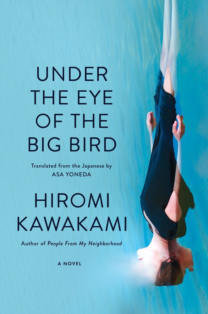 Under the Eye of the Big Bird (GraphicNovel)
