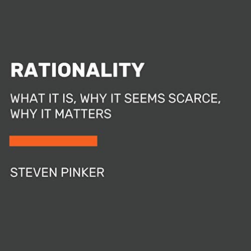 Steven Pinker: Rationality (Paperback, Random House Large Print)