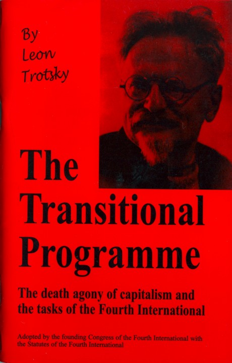 The Transitional Programme (Paperback)