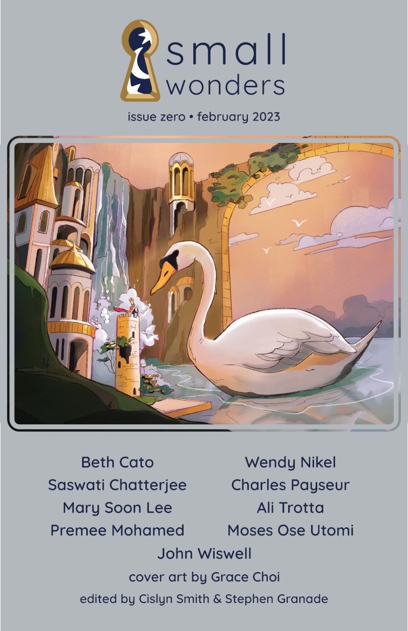 Small Wonders Issue 0 (EBook, Small Wonders LLC)