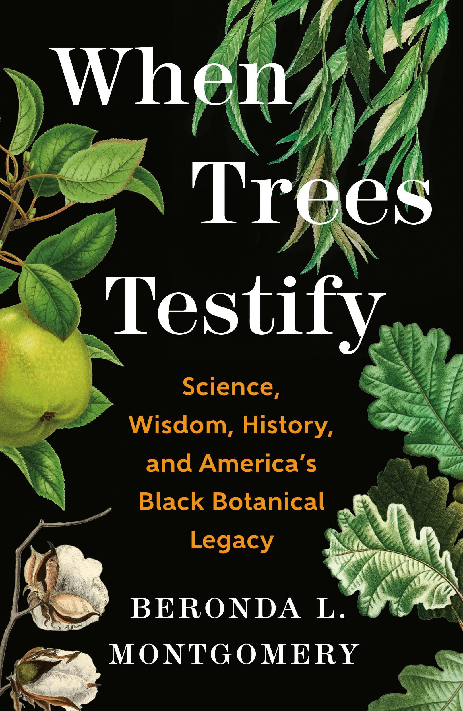 Beronda L. Montgomery: When Trees Testify (Hardcover, Henry Holt and Co)