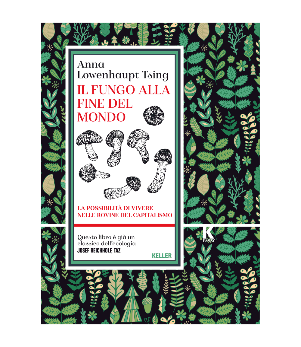 Anna Lowenhaupt Tsing: Il fungo alla fine del mondo (Paperback, Italian language, 2021)