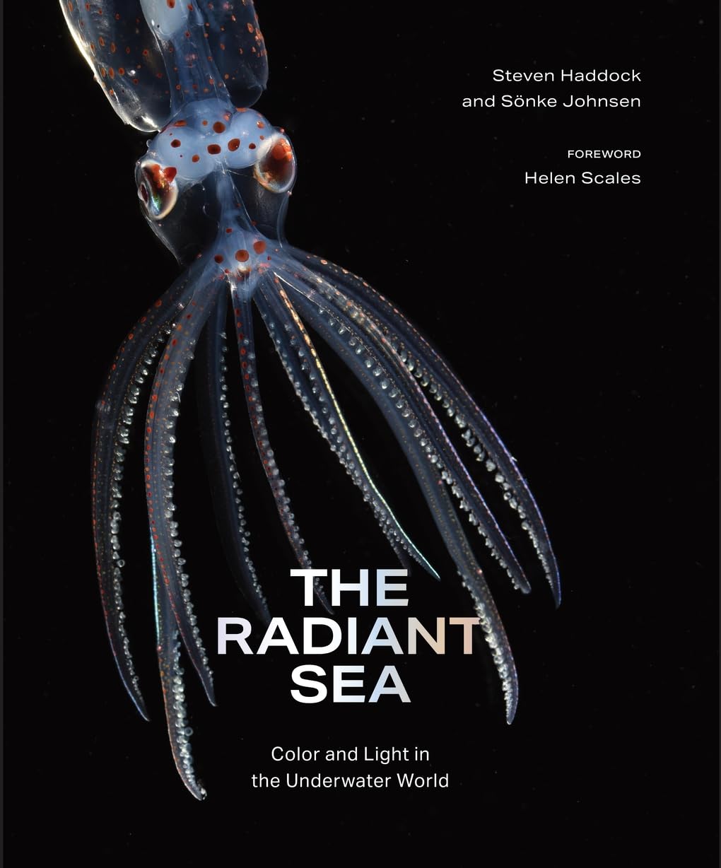 Helen Scales, Steven Haddock, Sönke Johnsen: Radiant Sea (2025, Abrams, Inc.)